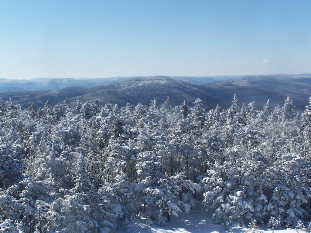 Photo: West Towards Rusk Mountain Photo: West Towards Rusk Mountain