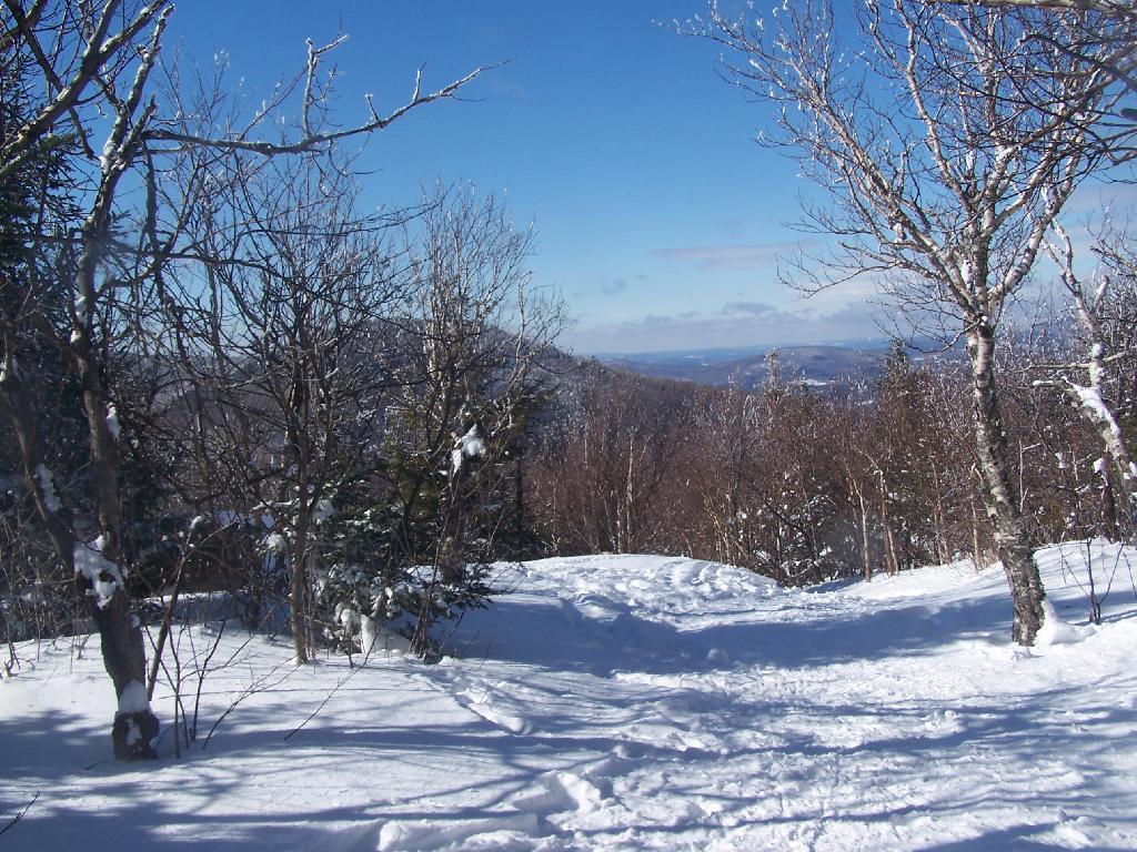 Photo: Looking Towards Rusk Photo: Looking Towards Rusk