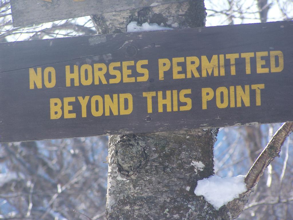Photo: No Horses Past This Point Photo: No Horses Past This Point