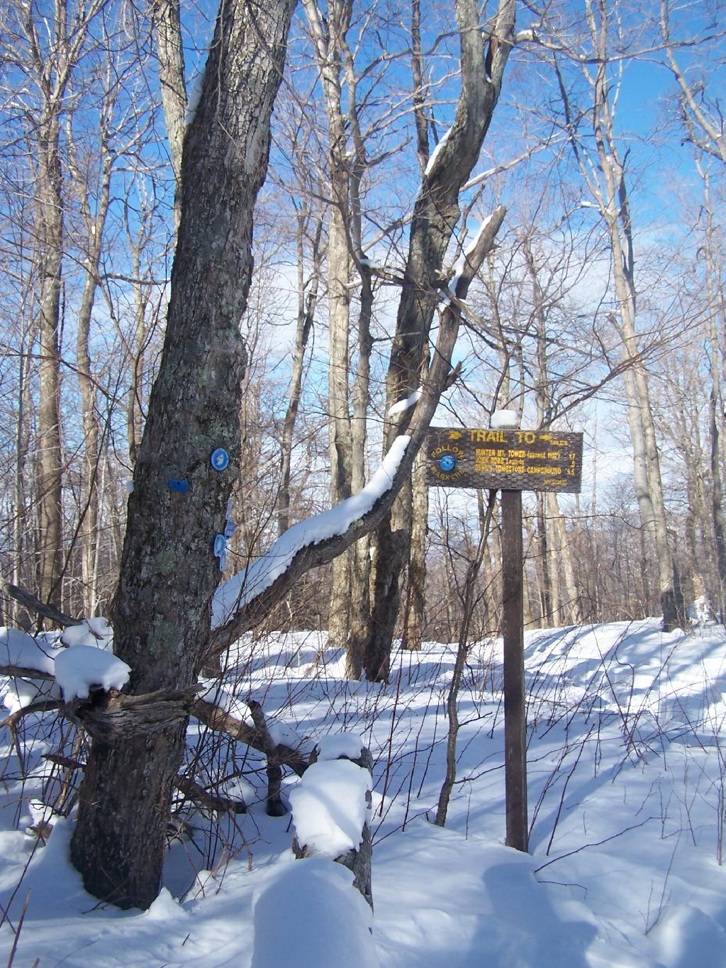 Photo: Turn Off from Old Hunter Road Photo: Turn Off from Old Hunter Road