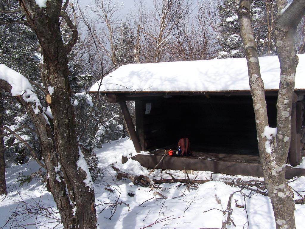 Photo: John Robb Leanto Photo: John Robb Leanto