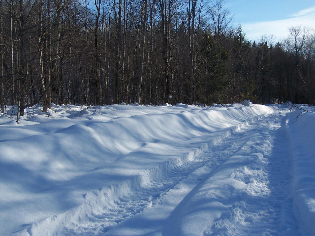 Photo: Carrick Road Photo: Carrick Road