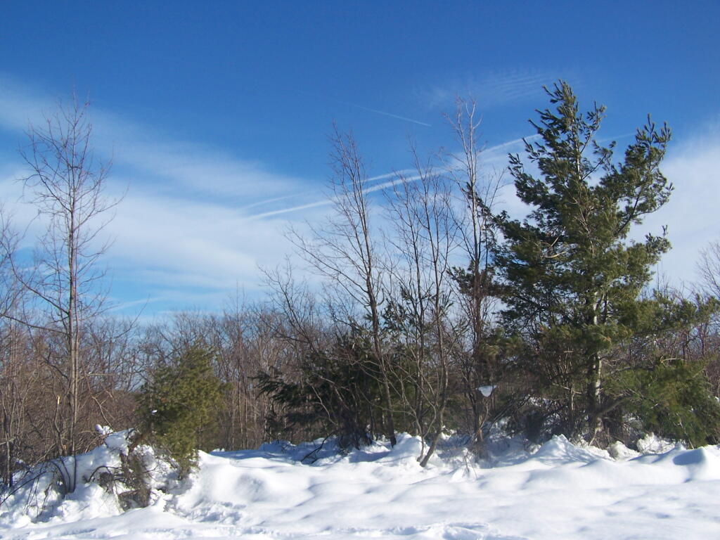 Photo: Snow Covered Field Photo: Snow Covered Field