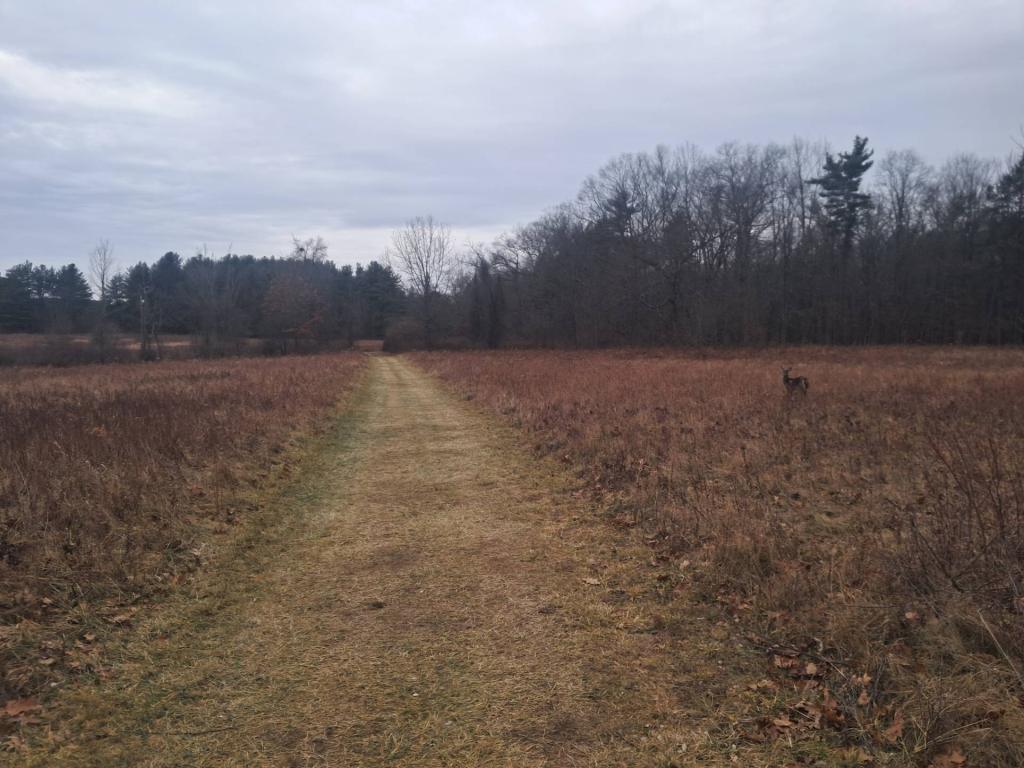 Photo: Untitled Photo: Untitled