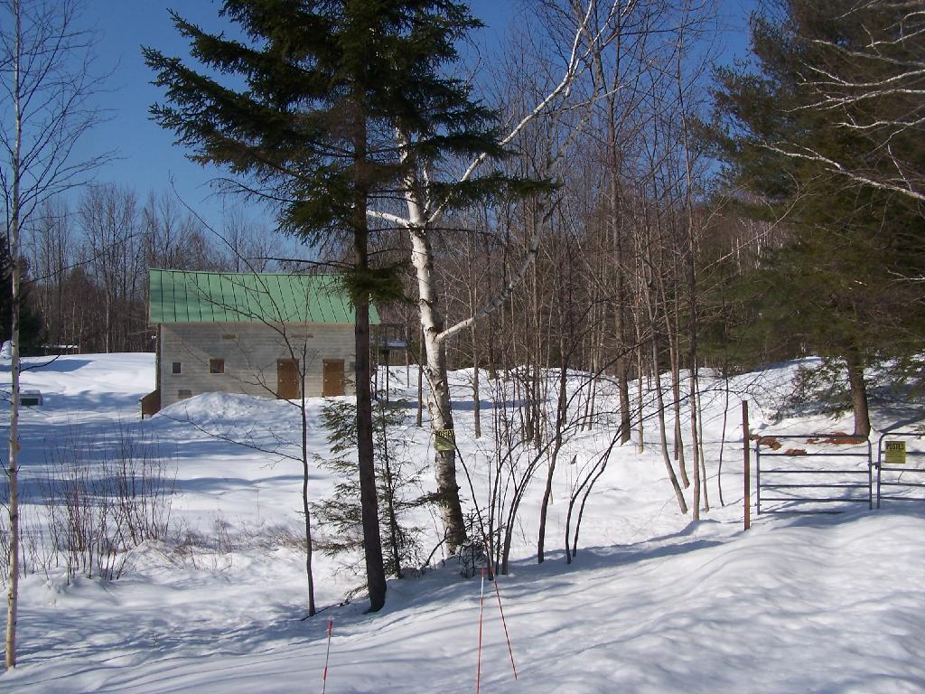 Photo: 1.8 Miles to Black Mountain Photo: 1.8 Miles to Black Mountain