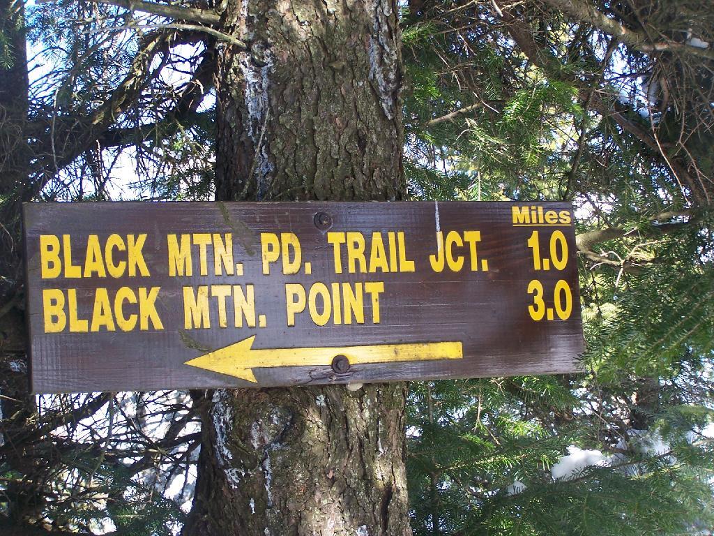 Photo: Sign to Foot Trail Down Back of Mountain Photo: Sign to Foot Trail Down Back of Mountain
