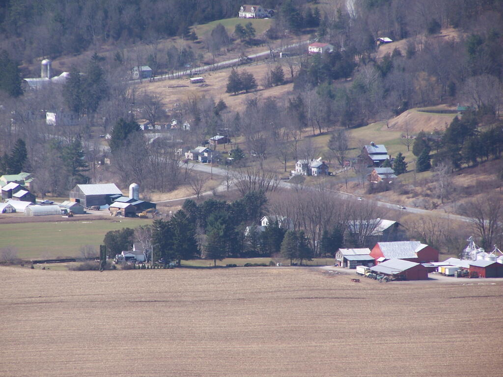Photo: Fultonham Photo: Fultonham
