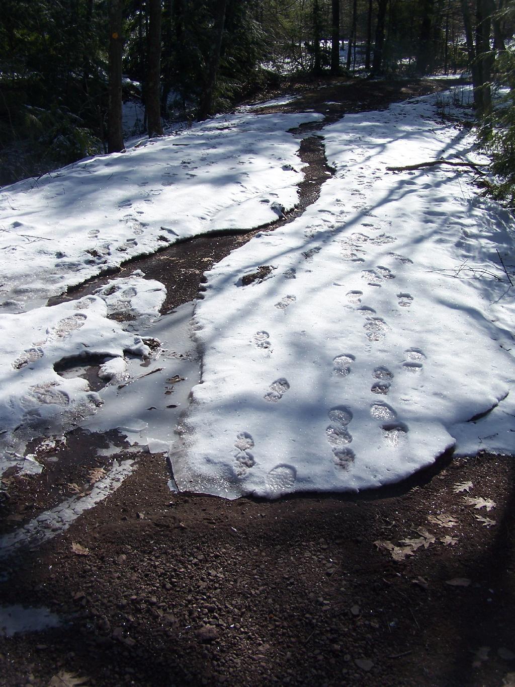 Photo: Melting Snow and Steps Photo: Melting Snow and Steps