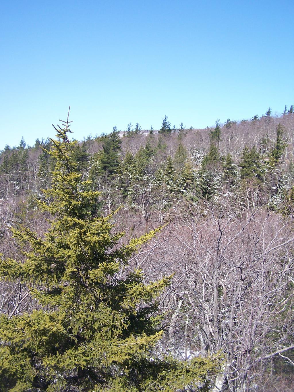 Photo: Ledge to North Mountain Photo: Ledge to North Mountain