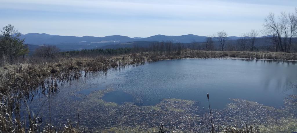 Photo: Hillcross Farm Parcel now posted as State Forest Photo: Hillcross Farm Parcel now posted as State Forest