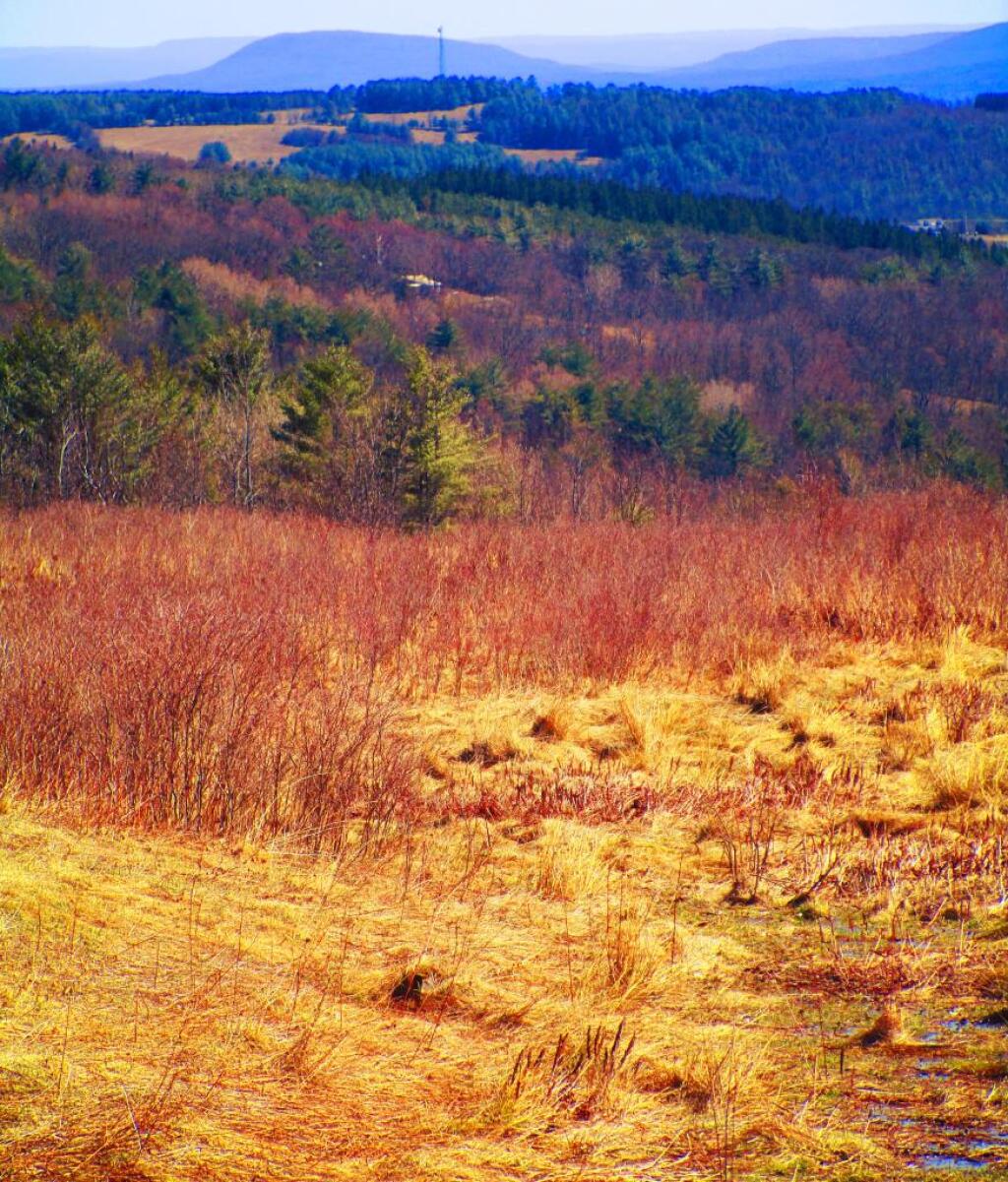 Photo: Cario Roundtop Photo: Cario Roundtop