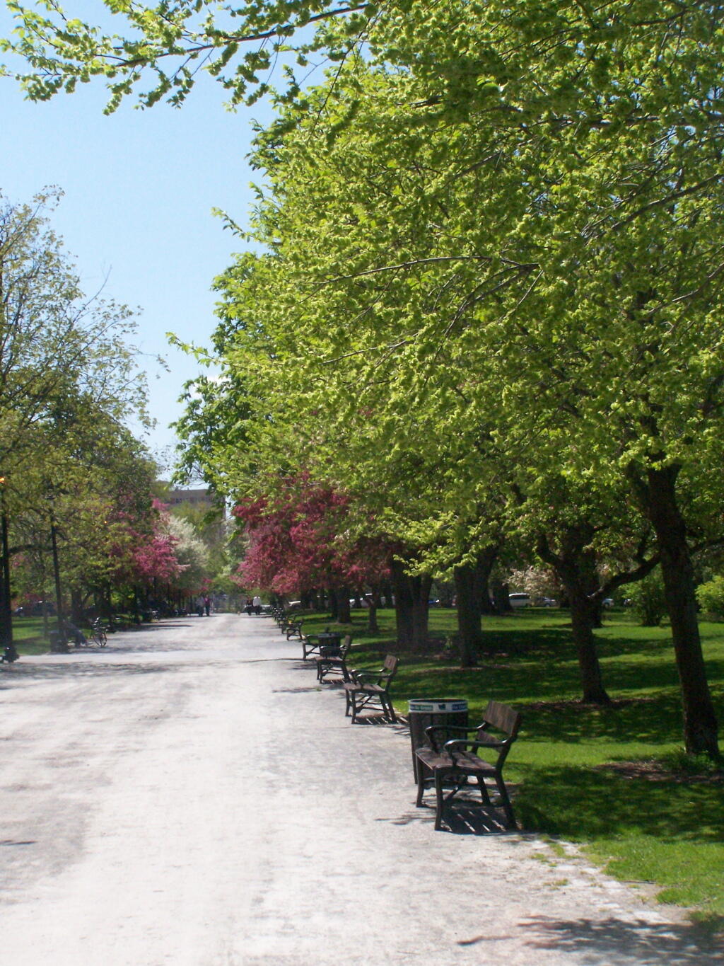 Photo: Park Benches in Springtime Photo: Park Benches in Springtime
