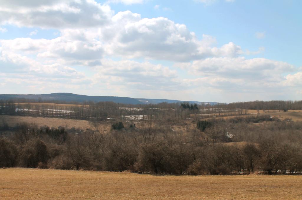 Photo: Upland Near Plymouth Photo: Upland Near Plymouth
