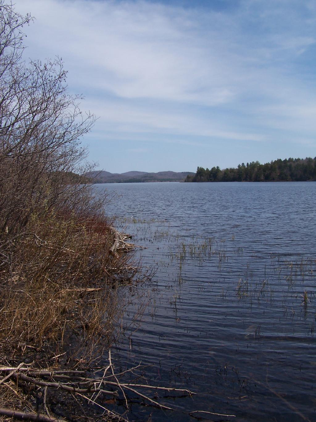 Photo: Shoreline Photo: Shoreline