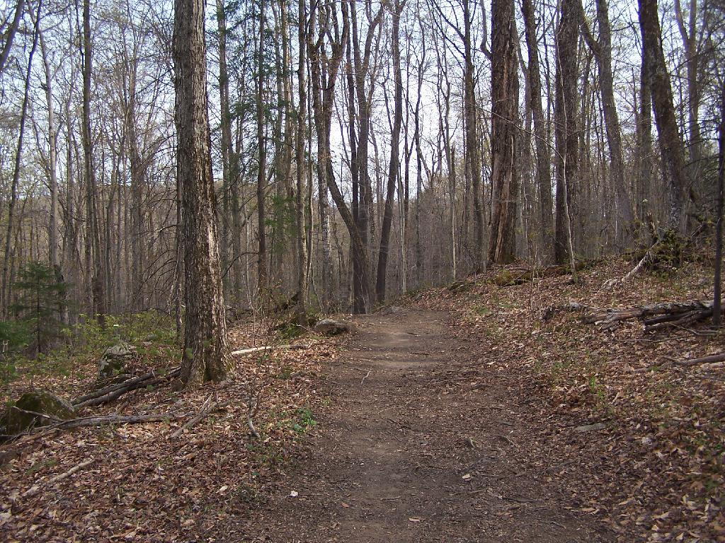 Photo: Trail Up Kane Mountain Photo: Trail Up Kane Mountain