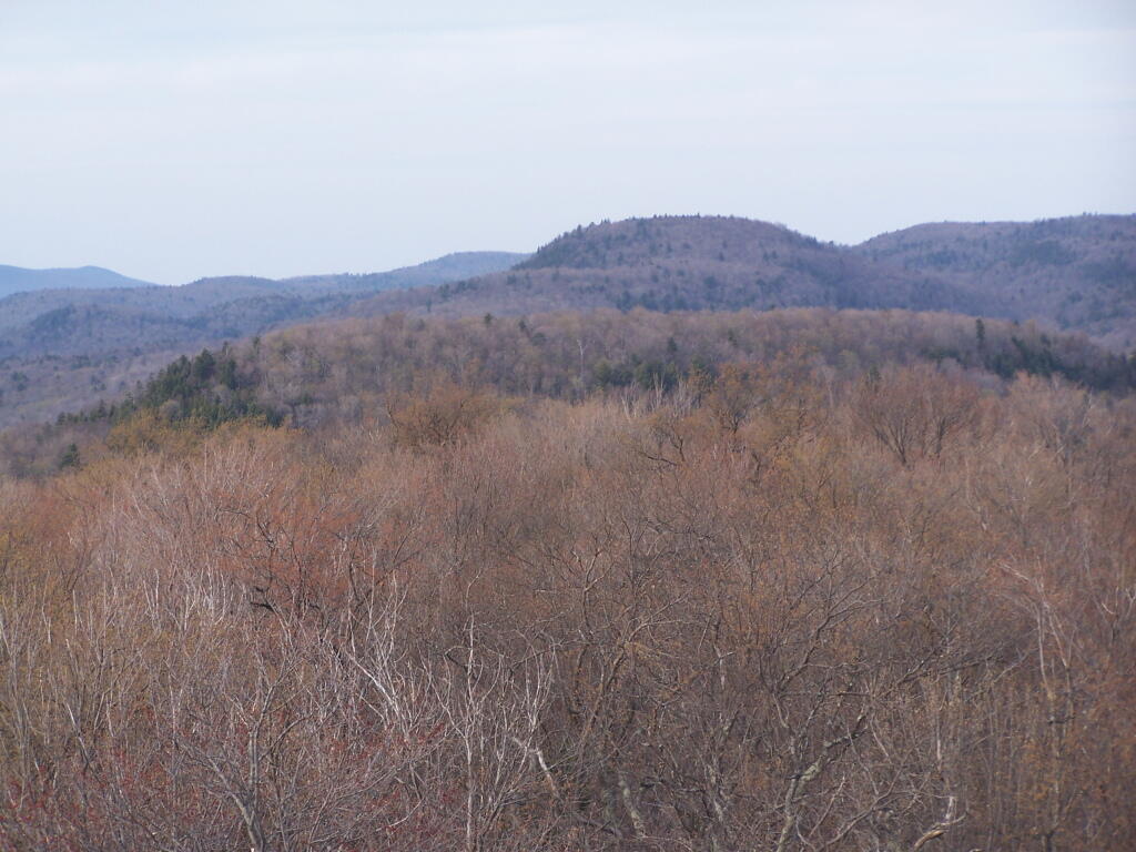 Photo: Camel Hump Photo: Camel Hump