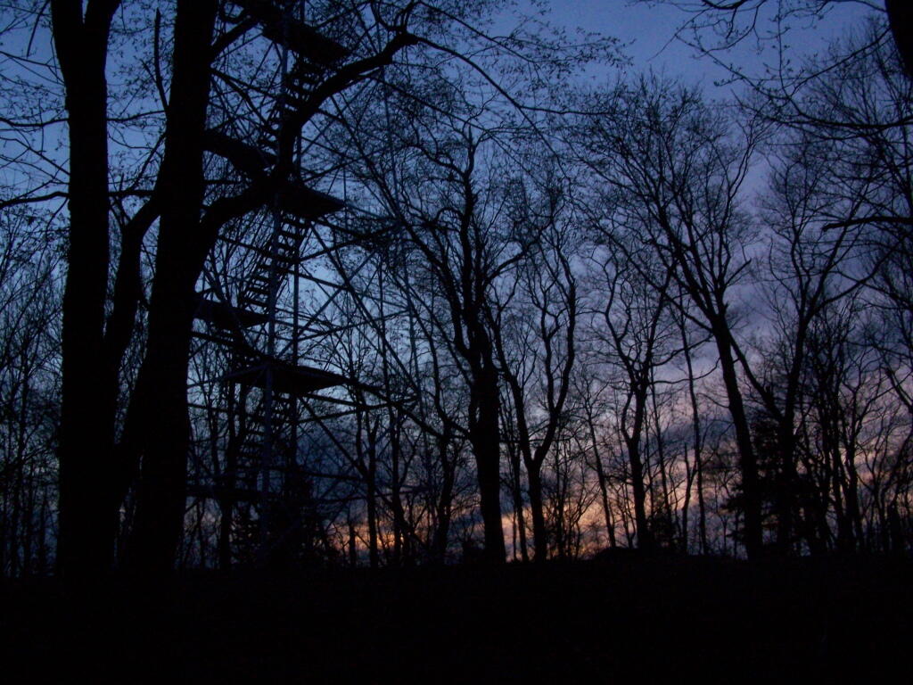 Photo: Last Light of the Day Photo: Last Light of the Day