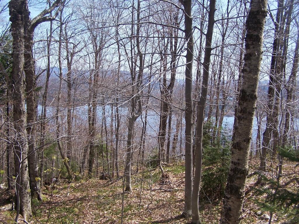 Photo: Trail on Echo Cliffs Photo: Trail on Echo Cliffs