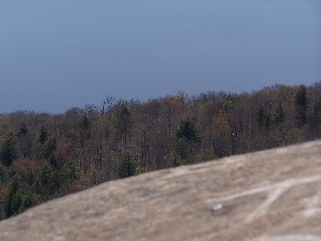 Photo: Edge of Lake Photo: Edge of Lake