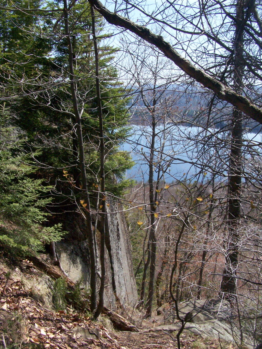 Photo: Almost to the Top