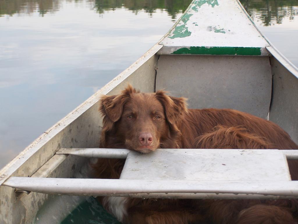 Photo: Sleeping on the Job Photo: Sleeping on the Job