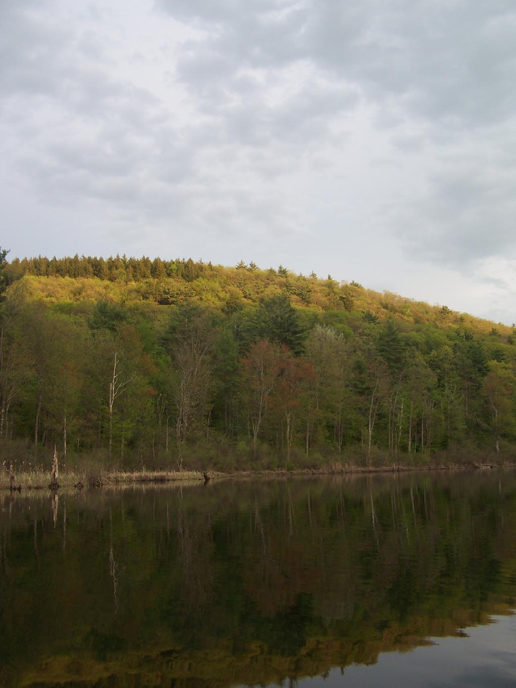 Photo: Springtime Photo: Springtime