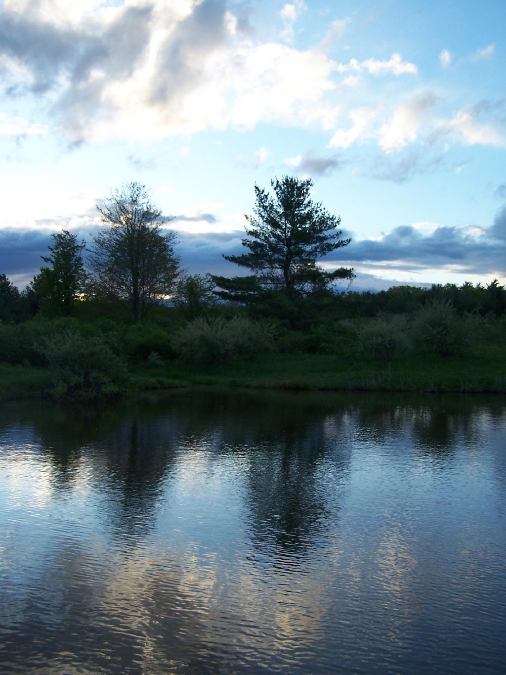 Photo: Reflections Photo: Reflections
