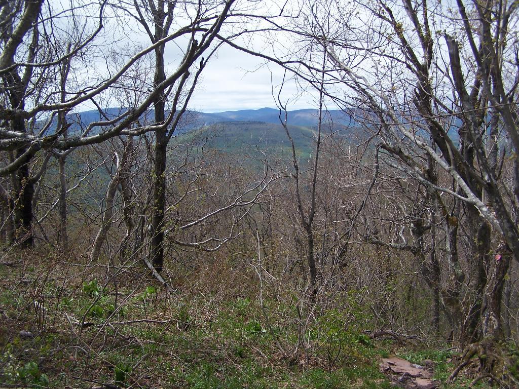 Photo: Devil's Path from Camel's Hump Photo: Devil's Path from Camel's Hump