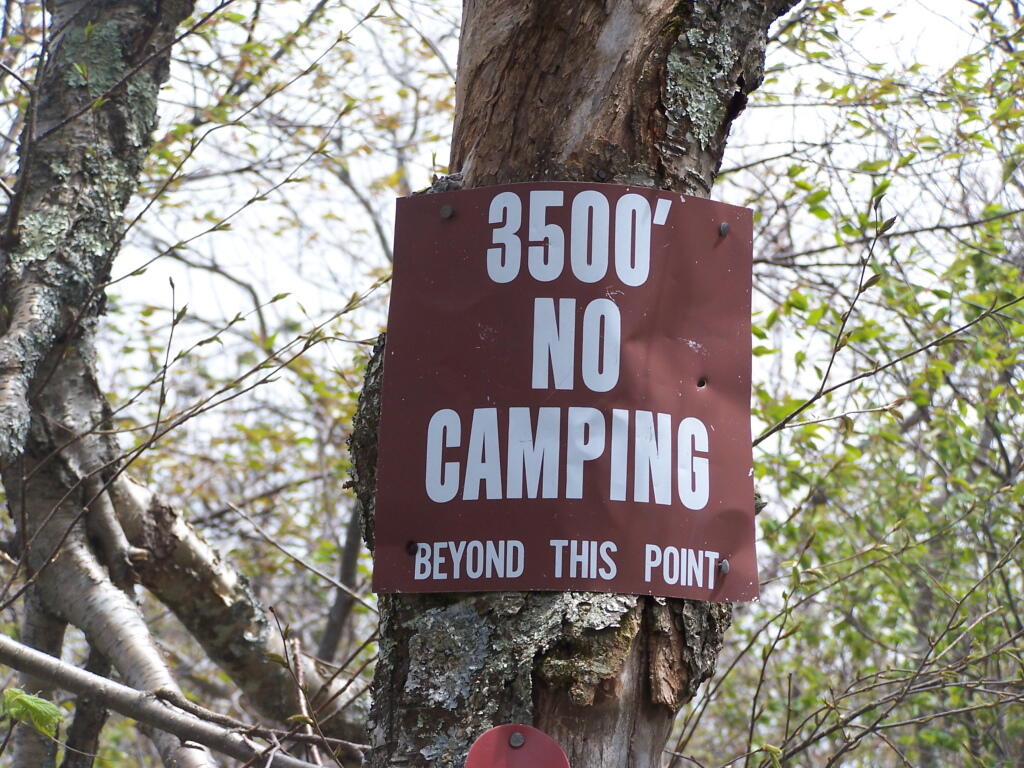 Photo: At 3500 Climbing Camel's Hump Photo: At 3500 Climbing Camel's Hump