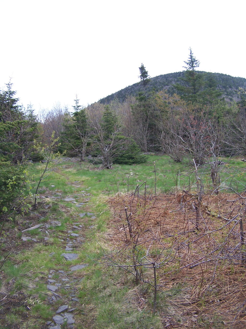 Photo: Flat Col Between Camels Hump and Thomas Cole Photo: Flat Col Between Camels Hump and Thomas Cole