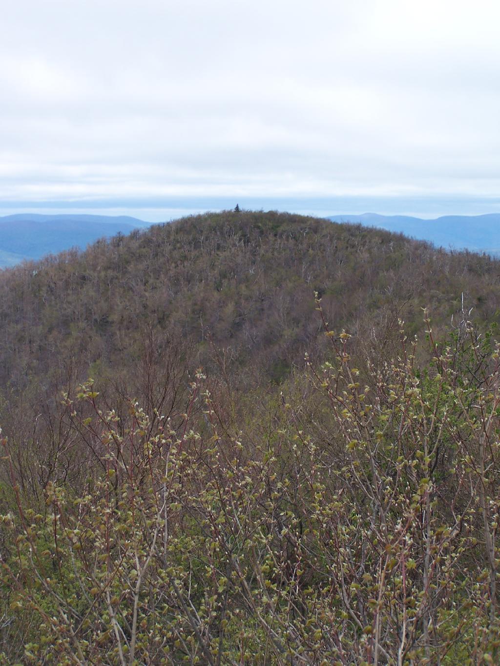 Photo: Camel's Hump Photo: Camel's Hump