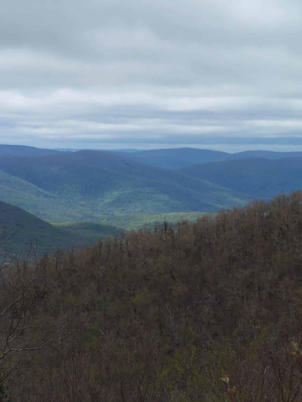 Photo: Evergreen Mountain Photo: Evergreen Mountain
