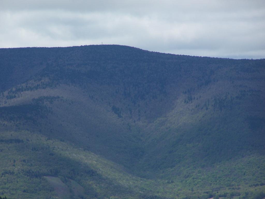 Photo: Green to Brown on Hunter Mountain Photo: Green to Brown on Hunter Mountain