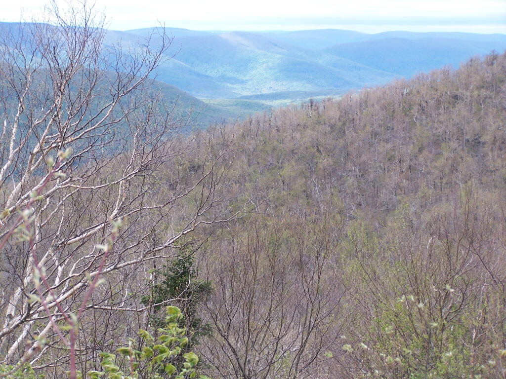 Photo: Towards Huntersville Valley Photo: Towards Huntersville Valley