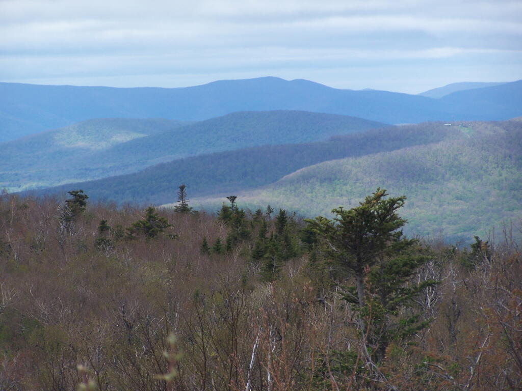 Photo: North-West Photo: North-West