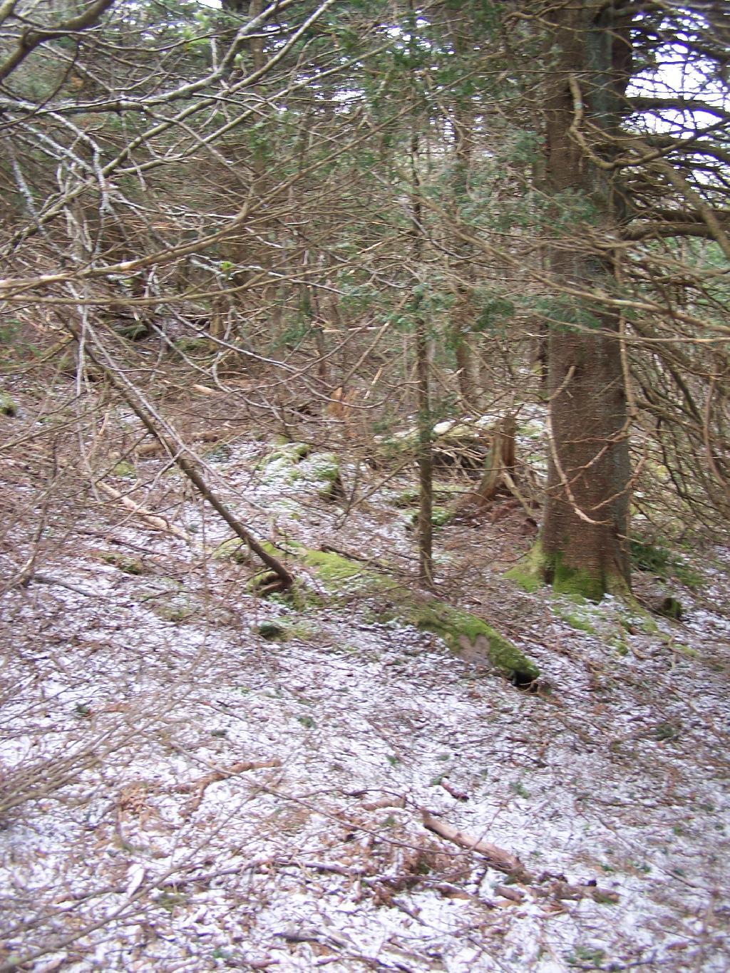 Photo: Dusting of Snow on Thomas Cole Photo: Dusting of Snow on Thomas Cole