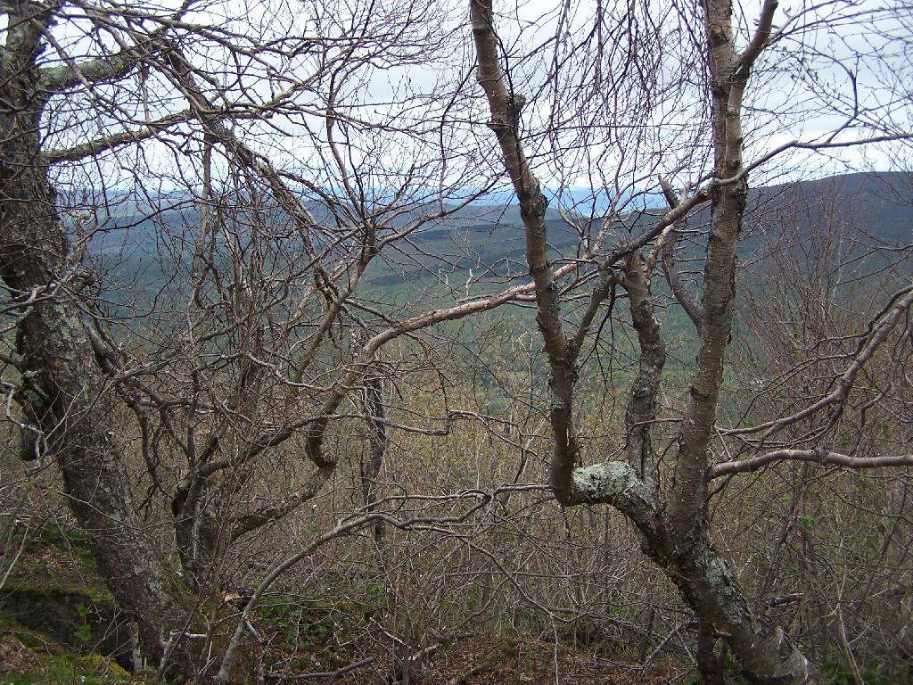Photo: Shoulder Between Mountains Photo: Shoulder Between Mountains