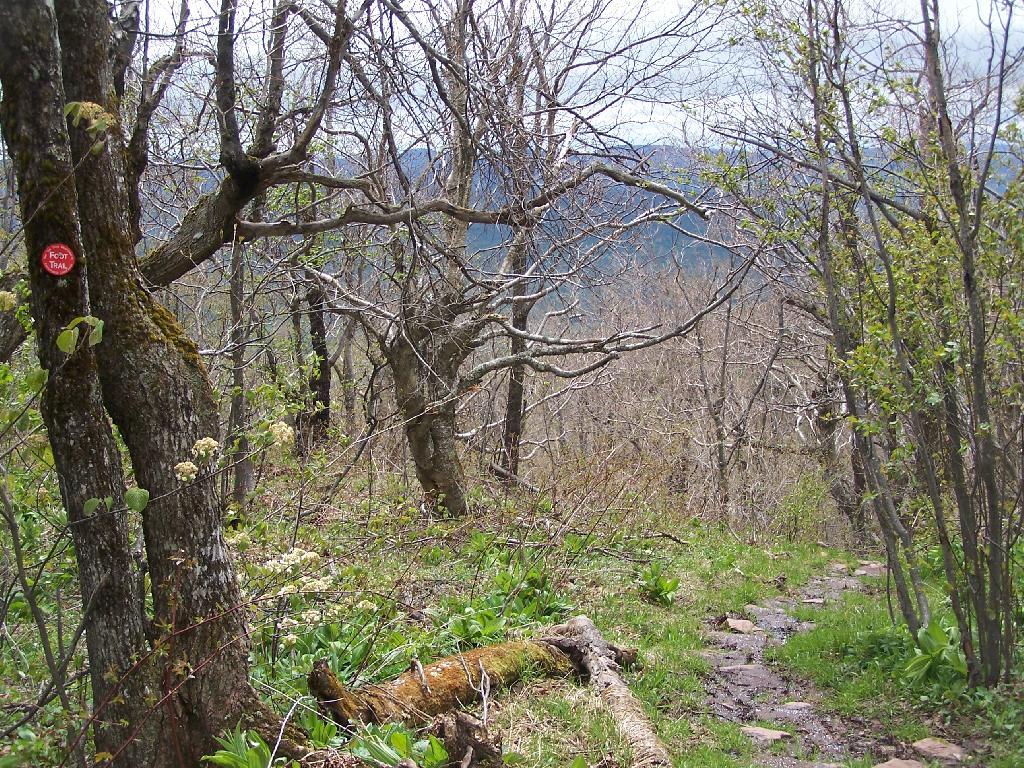 Photo: Descending the Mountain Photo: Descending the Mountain