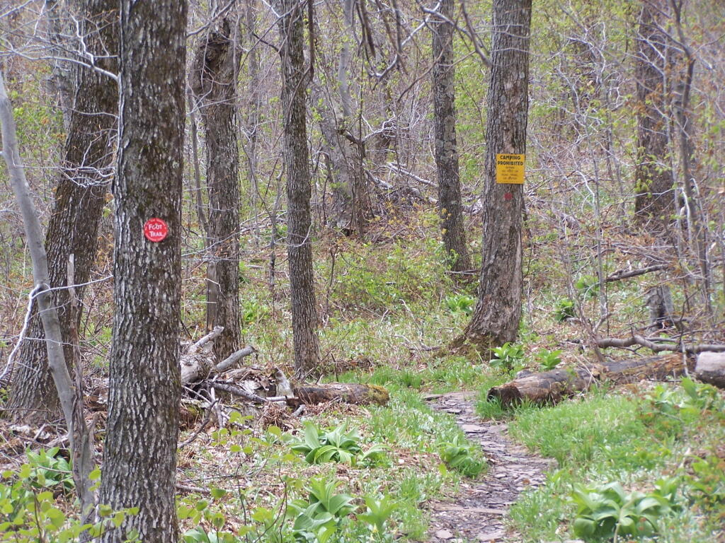 Photo: Below 3500, Camping Prohibited Near Trail Photo: Below 3500, Camping Prohibited Near Trail