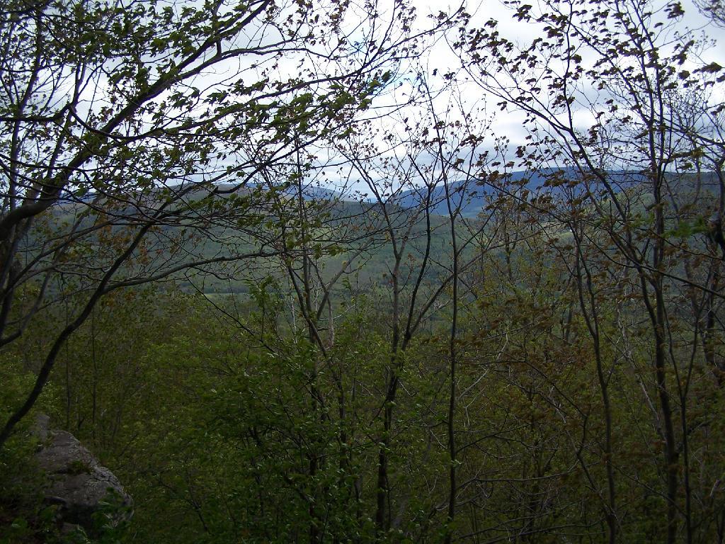 Photo: East Jewett Range Photo: East Jewett Range
