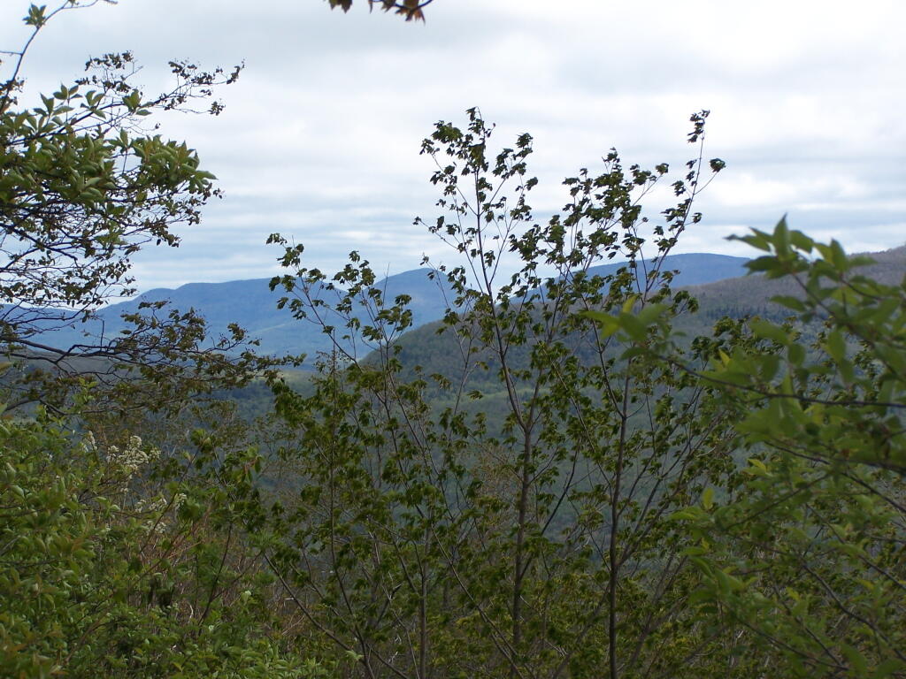 Photo: Devil's Path Range Through the Trees Photo: Devil's Path Range Through the Trees