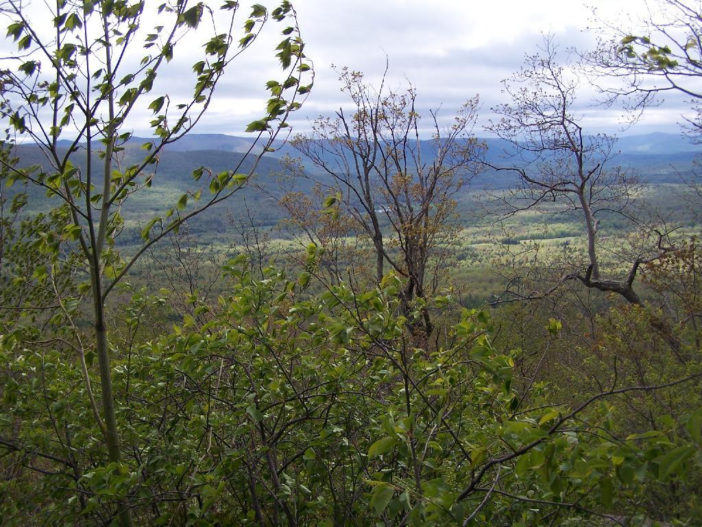 Photo: East Kill Valley Photo: East Kill Valley