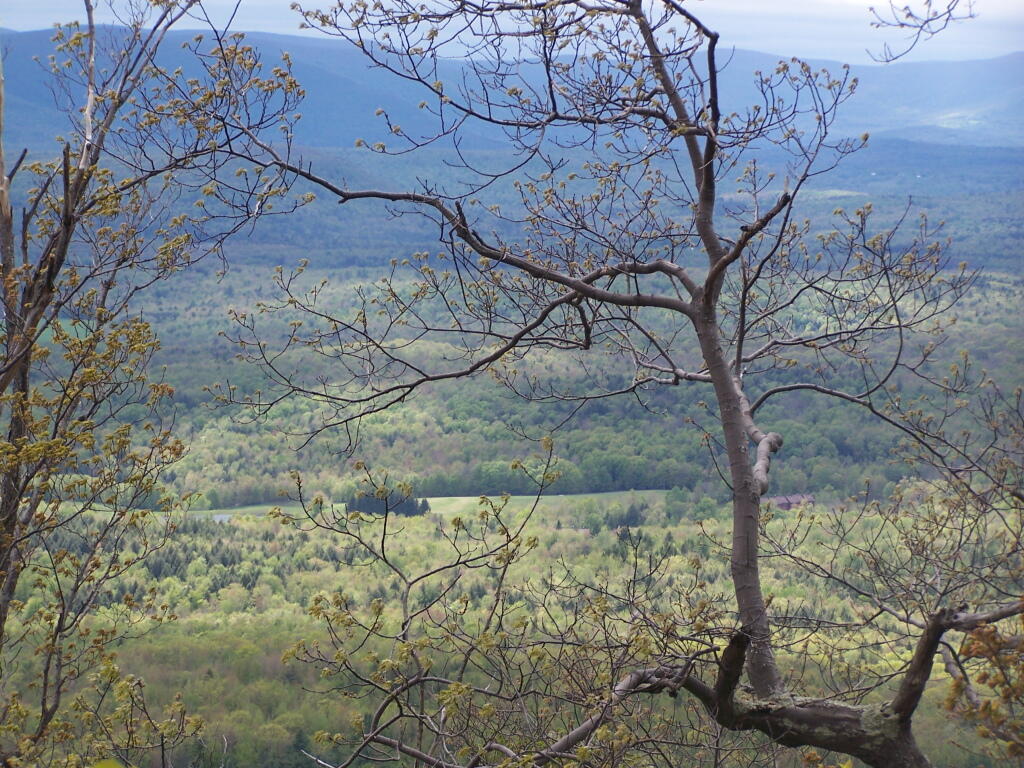 Photo: Catskill Mountain Valley Photo: Catskill Mountain Valley