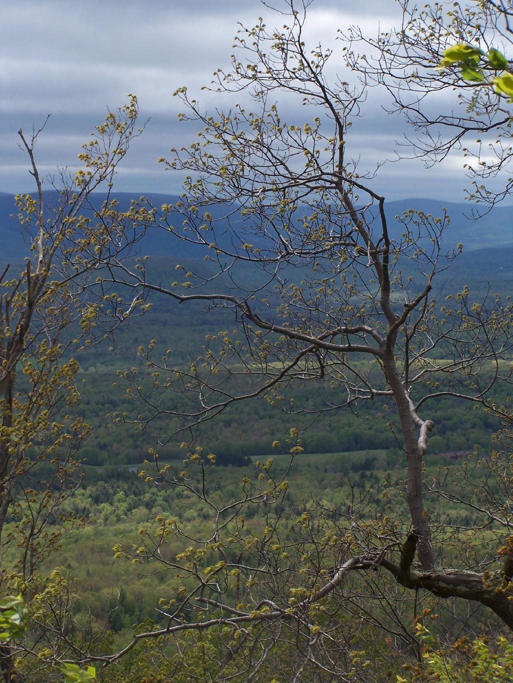 Photo: Darkening Skies Photo: Darkening Skies