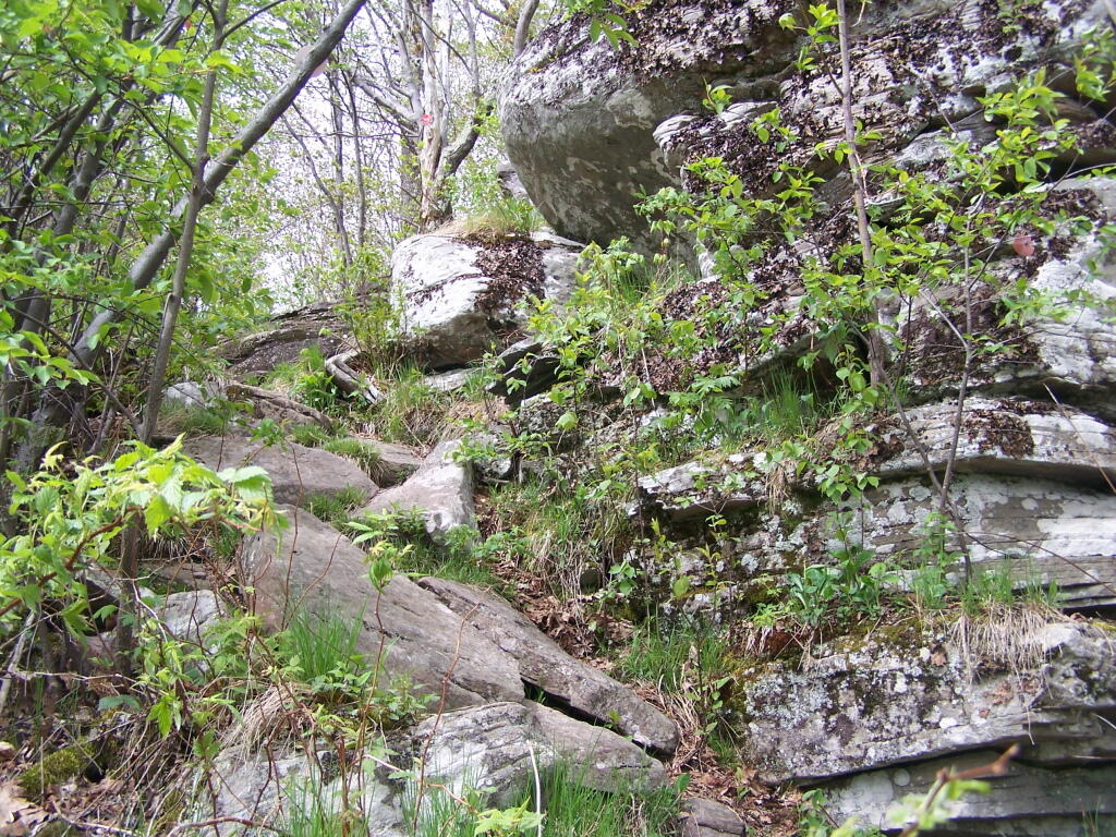 Photo: One Steep Part of the Trail Photo: One Steep Part of the Trail