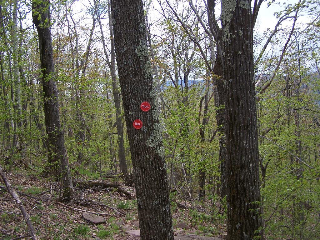 Photo: One of Many Switchbacks on Trail Photo: One of Many Switchbacks on Trail