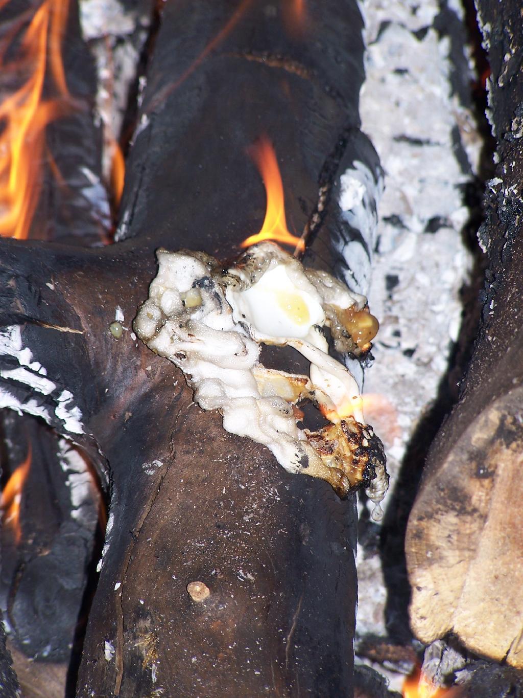 Photo: Letting the Fire Do the Dishes For Me Photo: Letting the Fire Do the Dishes For Me