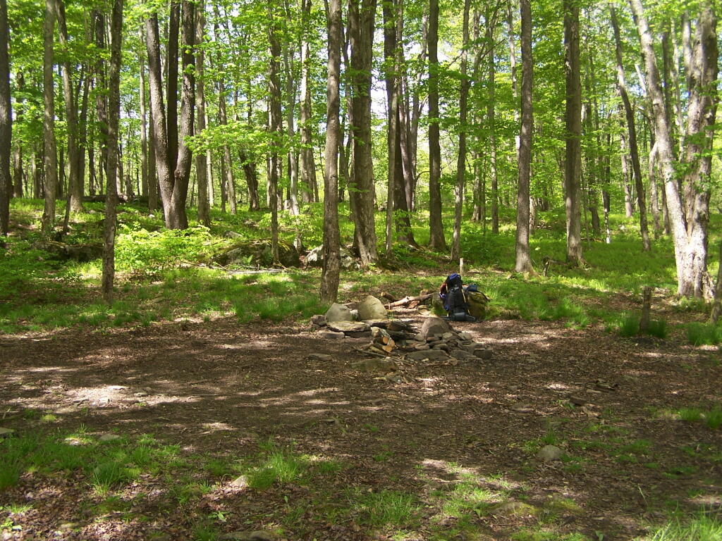 Photo: The Campsite Photo: The Campsite