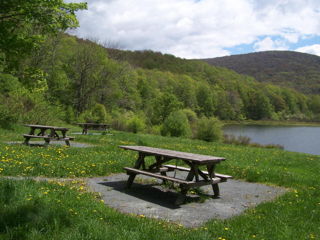 Photo: Picnic Area at Alder Lake Photo: Picnic Area at Alder Lake