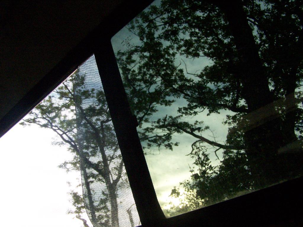 Photo: Through the Truck Cap Window Photo: Through the Truck Cap Window